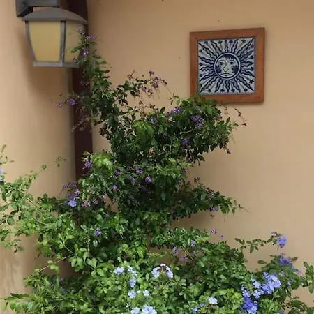 Finca El Cardinal - Atemberaubende Luxusvilla
